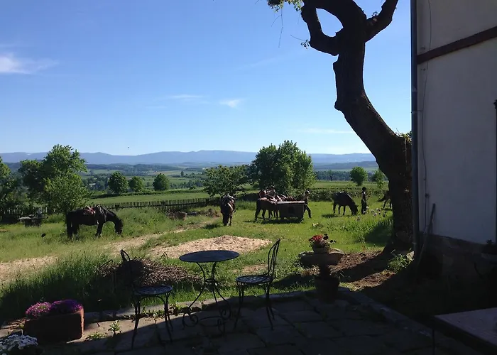 ベッド・アンド・ブレックファスト Taras Tarczyn Wleń