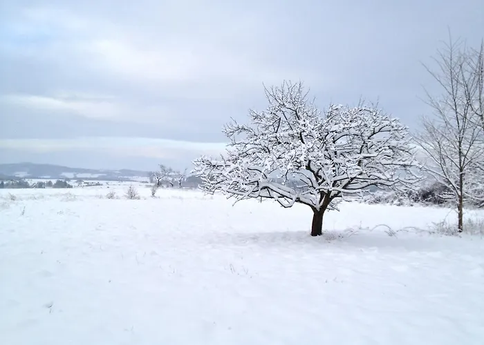 Taras Tarczyn ベッド・アンド・ブレックファスト