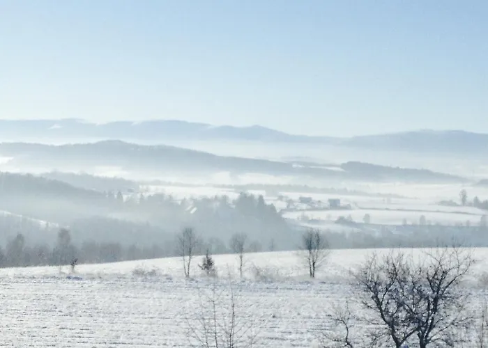 Taras Tarczyn * Wleń