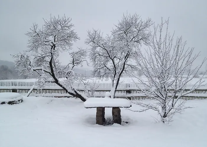 ベッド・アンド・ブレックファスト Taras Tarczyn Wleń