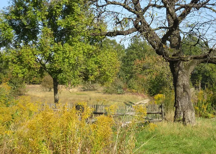 Taras Tarczyn * Wleń