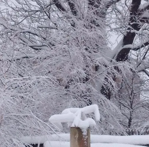 ベッド・アンド・ブレックファスト Taras Tarczyn